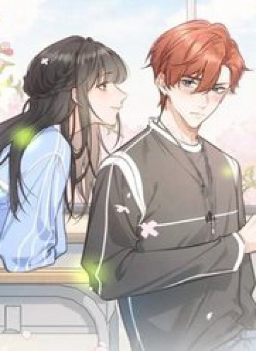 Tổng Tài Đuổi Vợ Lại Khóc Lóc Cầu Xin Vợ Quay Lại