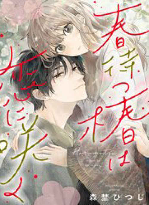 Hoa Trà Đợi Xuân Nở Yêu Thương