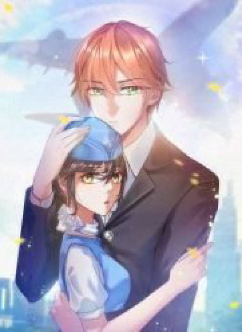 Nữ Tiếp Viên Hàng Không Của Boss