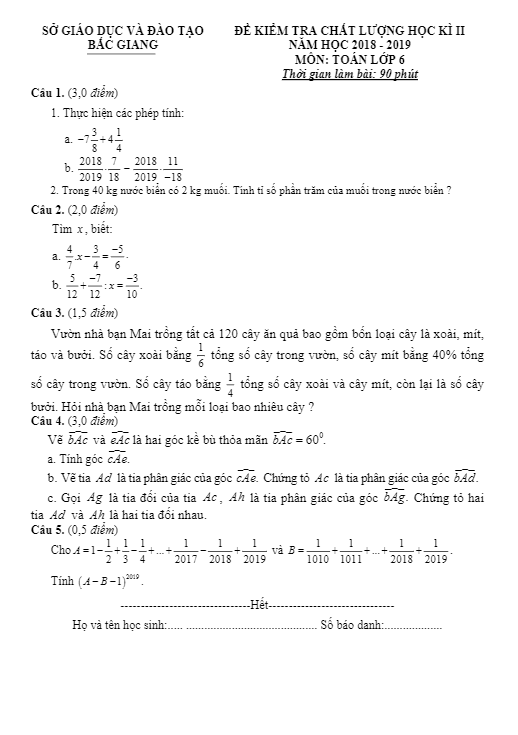 Đề thi học kì 2 Toán 6 năm học 2018 – 2019 sở GD&ĐT Bắc Giang