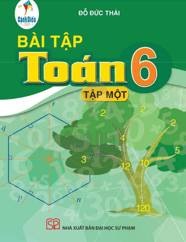 Sách bài tập Toán 6 (tập 1) (Cánh Diều)