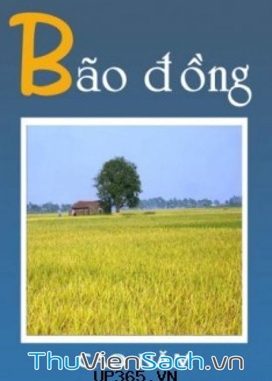 Bão Đồng