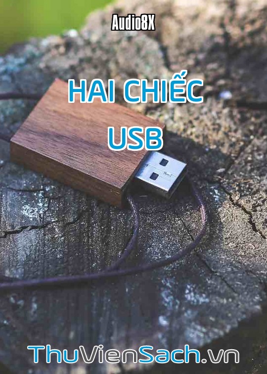 Hai Chiếc Usb