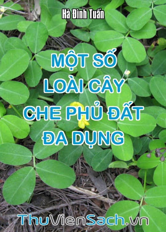 Một Số Loài Cây Che Phủ Đất Đa Dụng