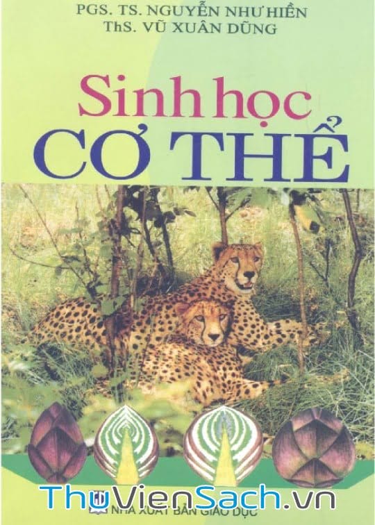 Sinh Học Cơ Thể