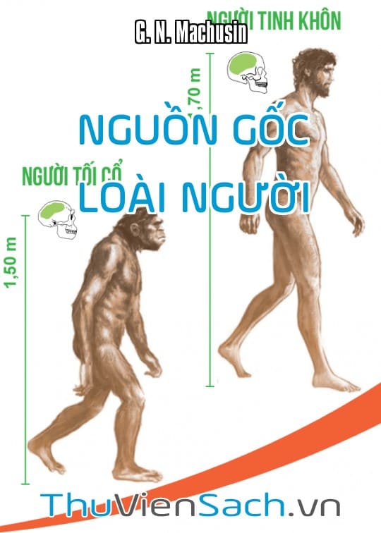 Nguồn Gốc Loài Người