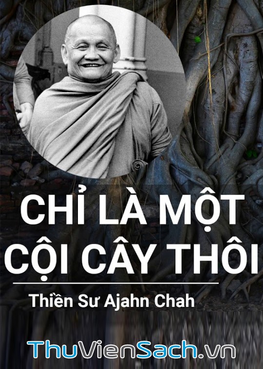 Chỉ Là Một Cội Cây