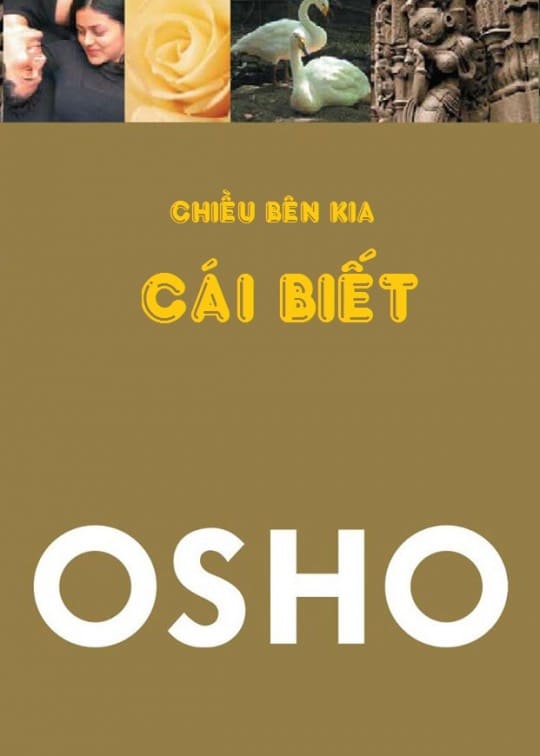 Chiều Bên Kia Cái Biết