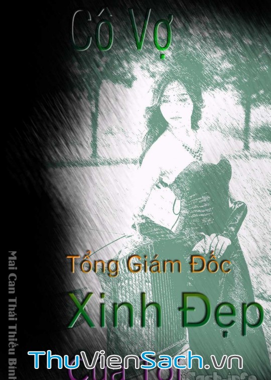 Cô Vợ Tổng Giám Đốc Xinh Đẹp Của Tôi - Phần 3