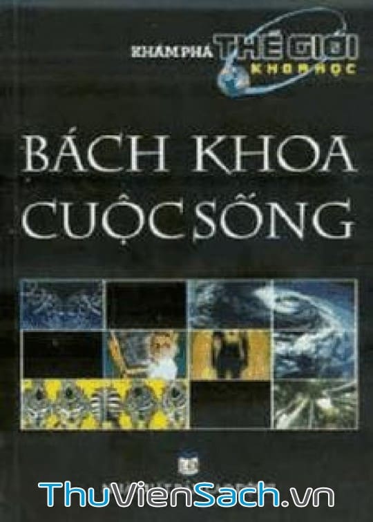 Bách Khoa Cuộc Sống