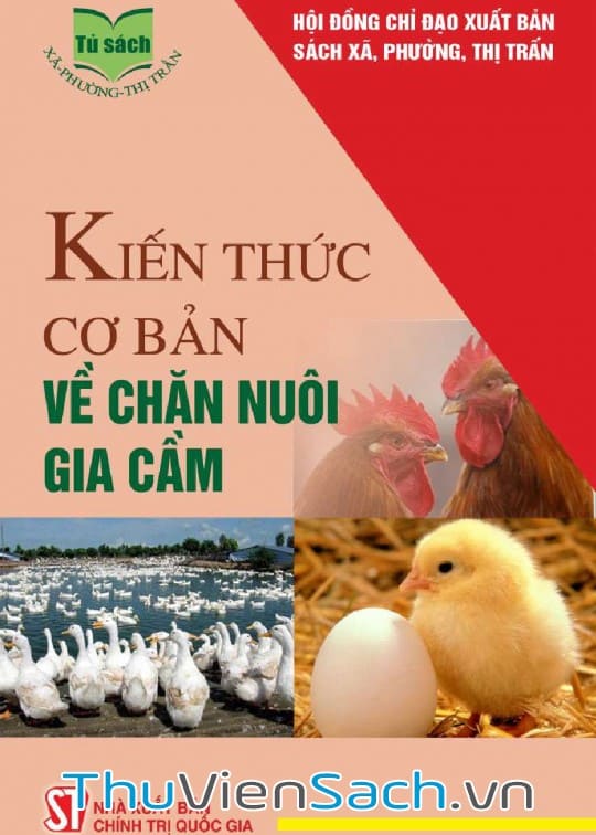 Kiến Thức Cơ Bản Về Chăn Nuôi Gia Cầm