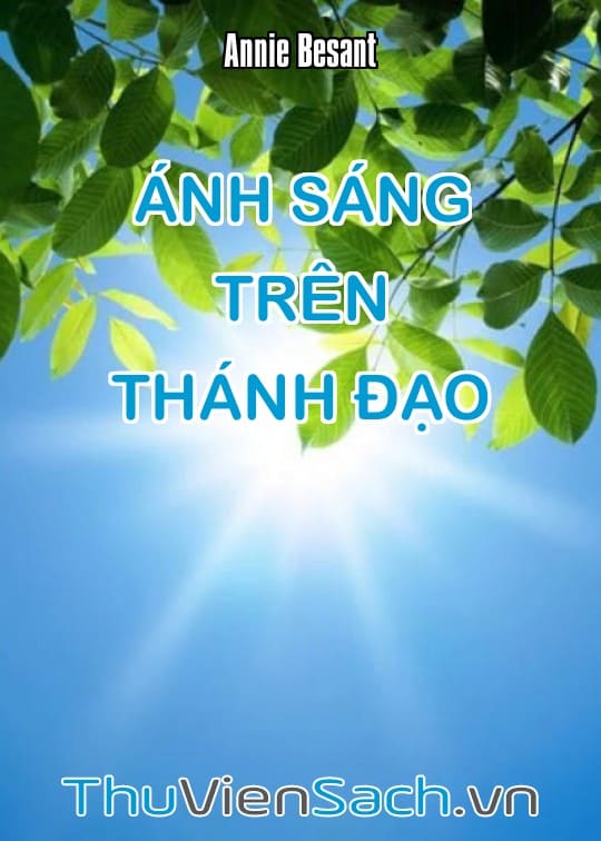 Ánh Sáng Trên Thánh Đạo